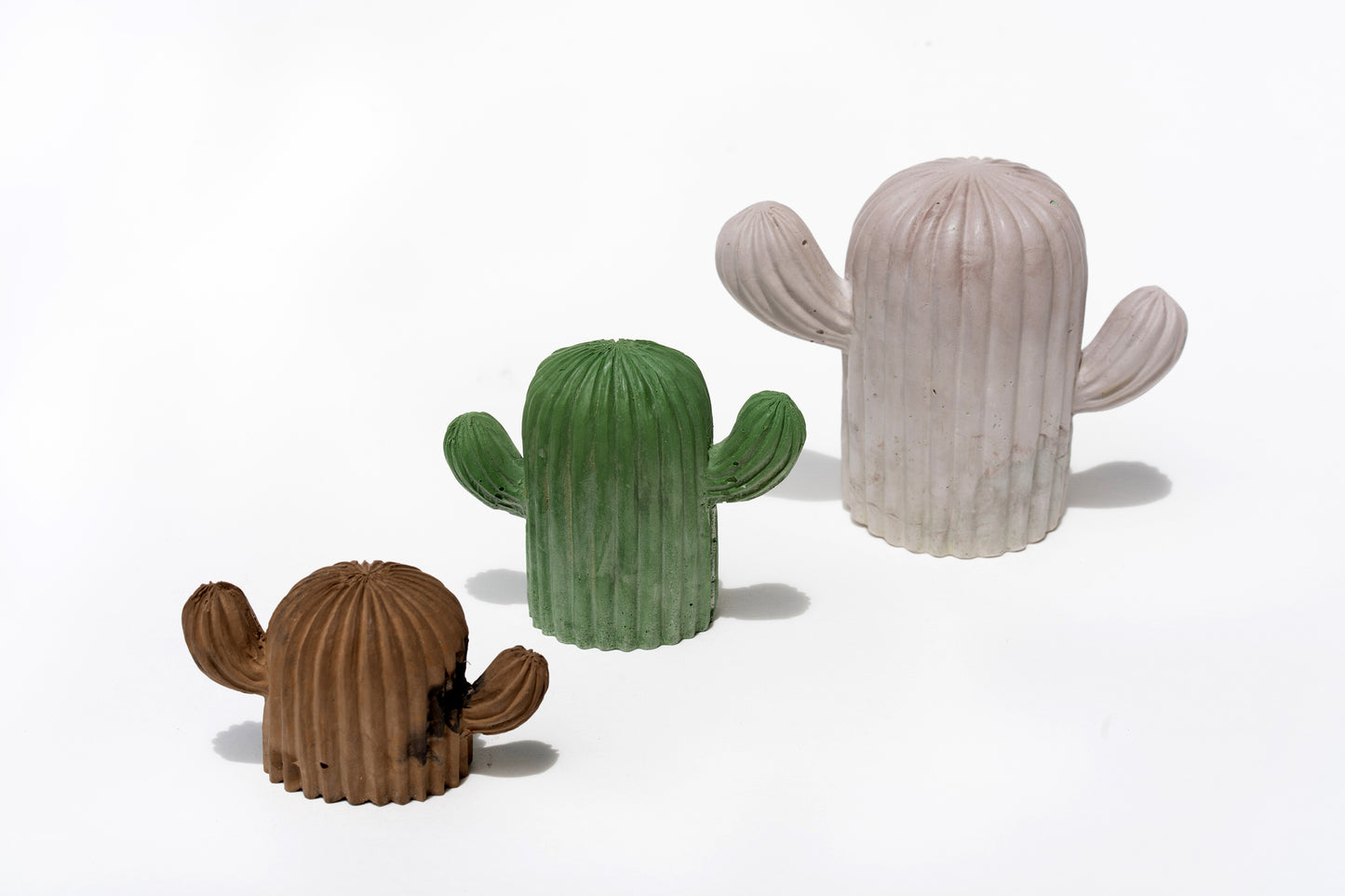 CACTI CUTIES